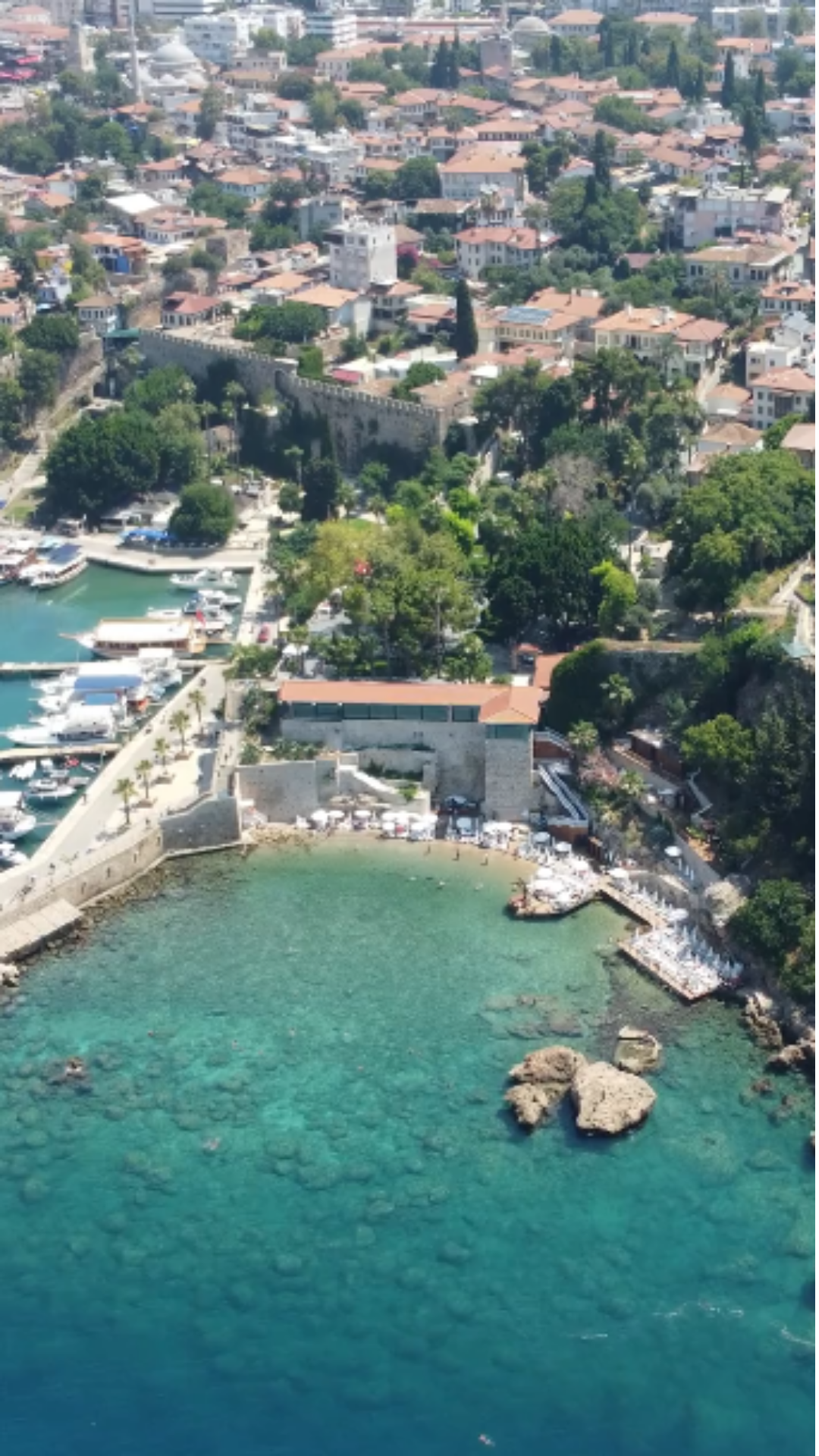 R-andog (Reel) önizleme